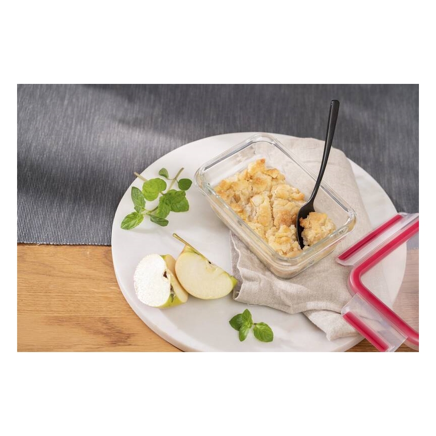 Tefal - Posuda za namirnice 0,45 l MSEAL GLASS crvena/staklo