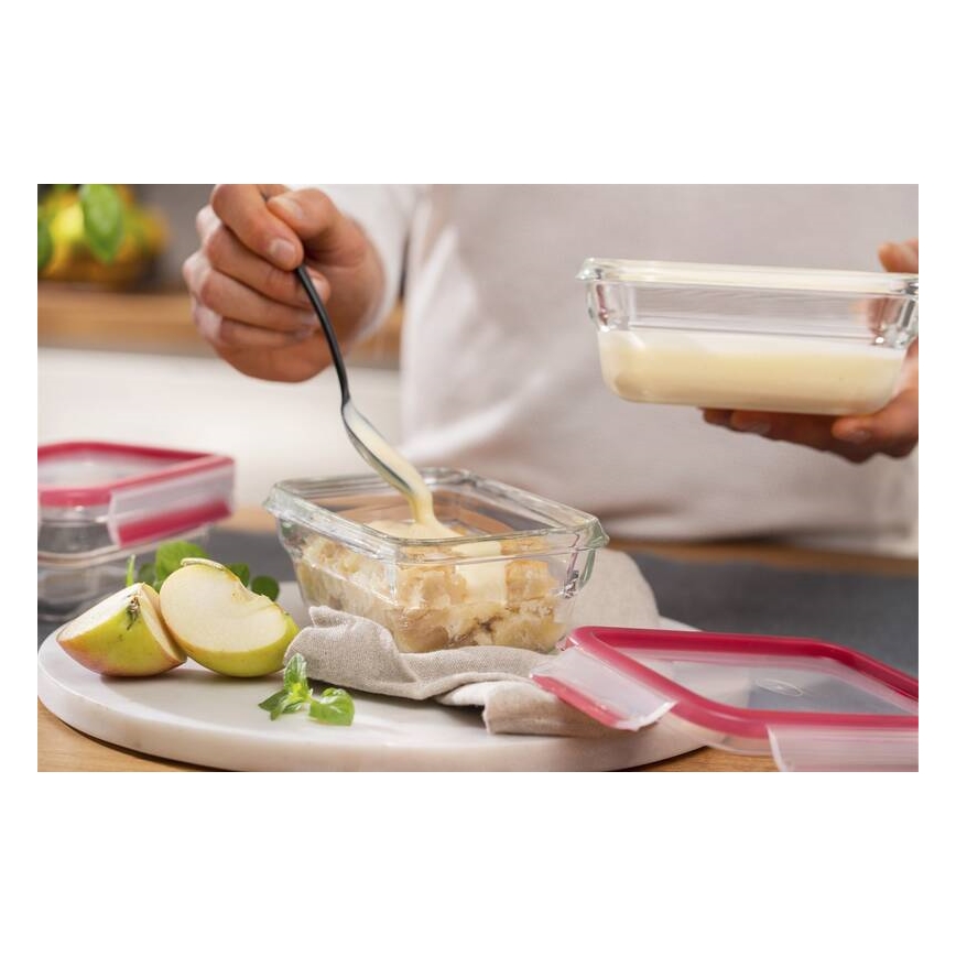 Tefal - Posuda za namirnice 0,45 l MSEAL GLASS crvena/staklo