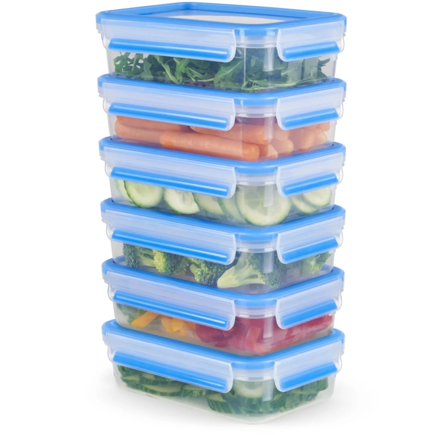 Tefal - SET 6x Posuda za namirnice 0,8 l MASTER SEAL FRESH plava