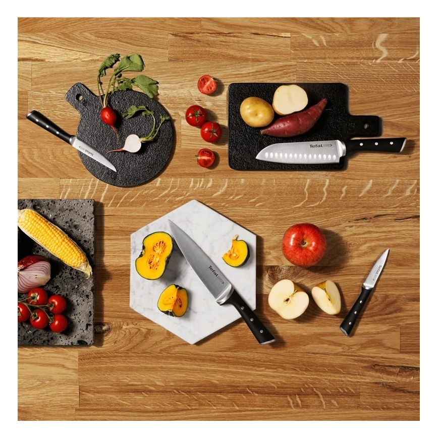 Tefal - Set kuhinjskih noževa na stalku ICE FORCE 6 kom