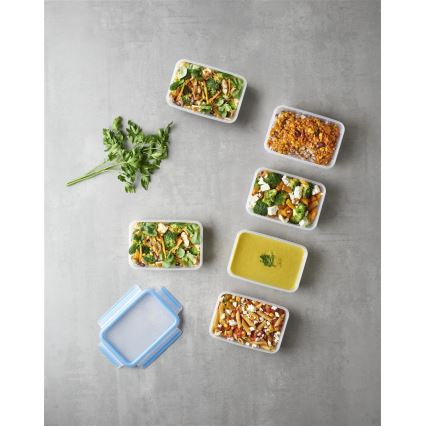 Tefal - Set od 6 posuda za hranu 0,8 l MASTER SEAL FRESH, plave
