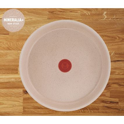 Tefal - Set posuđa, 6-dijelni INGENIO DELIGHT