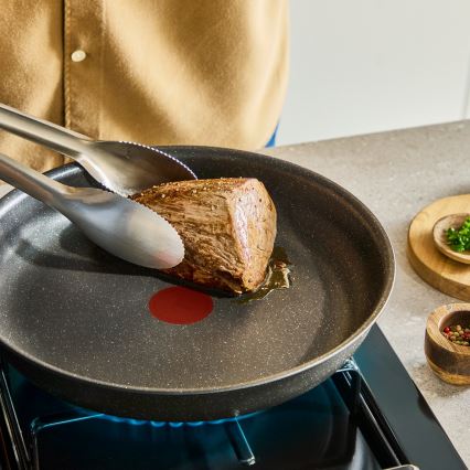 Tefal - Set posuđa INGENIO Expertise 3 kom
