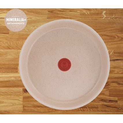 Tefal - Set tava 3 kom INGENIO DELIGHT