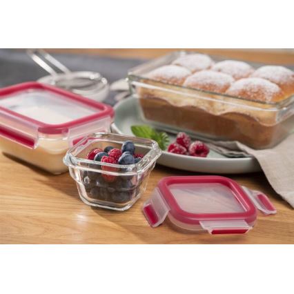 Tefal - Spremnik za hranu 0,45 l MSEAL GLASS crvena/staklo