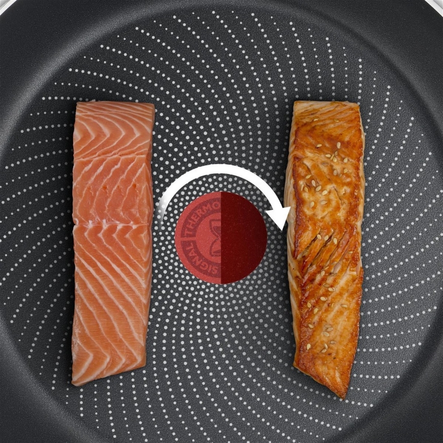Tefal - Tava DELICIOUS 20 cm