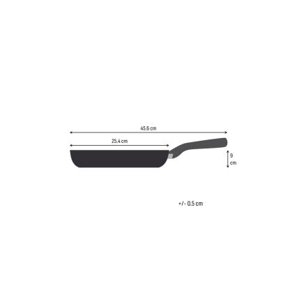 Tefal - Tava EXTREME 24 cm od nehrđajućeg čelika