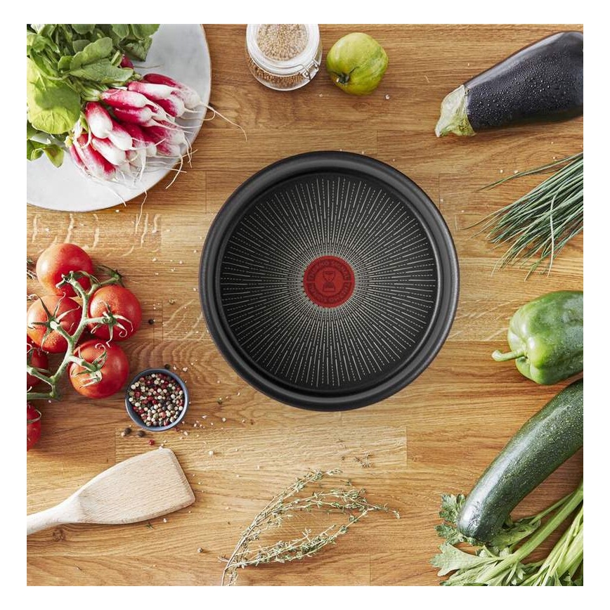 Tefal - Tava INGENIO Unlimited 24 cm