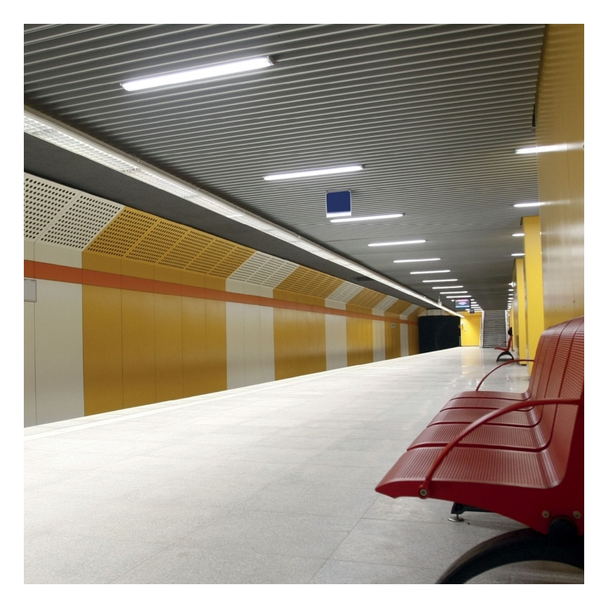 Tehnička fluorescentna svjetiljka LIMEA T8 2xG13/20W/230V IP65 71 cm