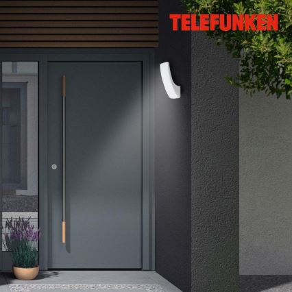 Telefunken 311604TF - LED Vanjska zidna svjetiljka LED/15W/230V IP44 srebrna