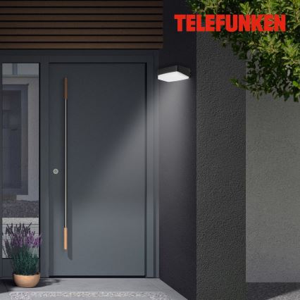 Telefunken 312205TF - LED Vanjska zidna svjetiljka LED/14W/230V IP44