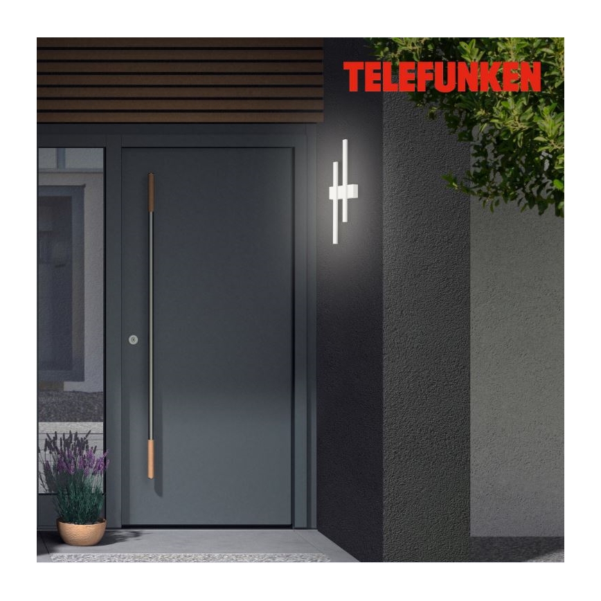 Telefunken 313206TF - LED Vanjska zidna svjetiljka 2xLED/8W/230V IP44