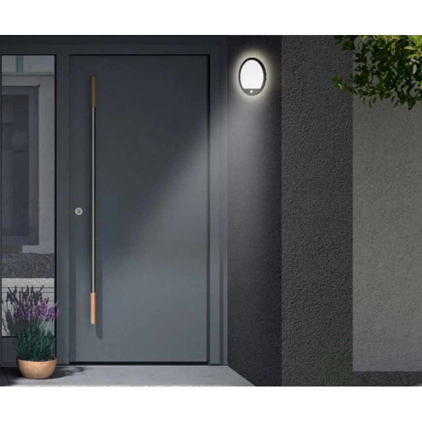 Telefunken 313705TF - LED vanjsko zidno svjetlo sa senzorom LED/15W/230V IP44