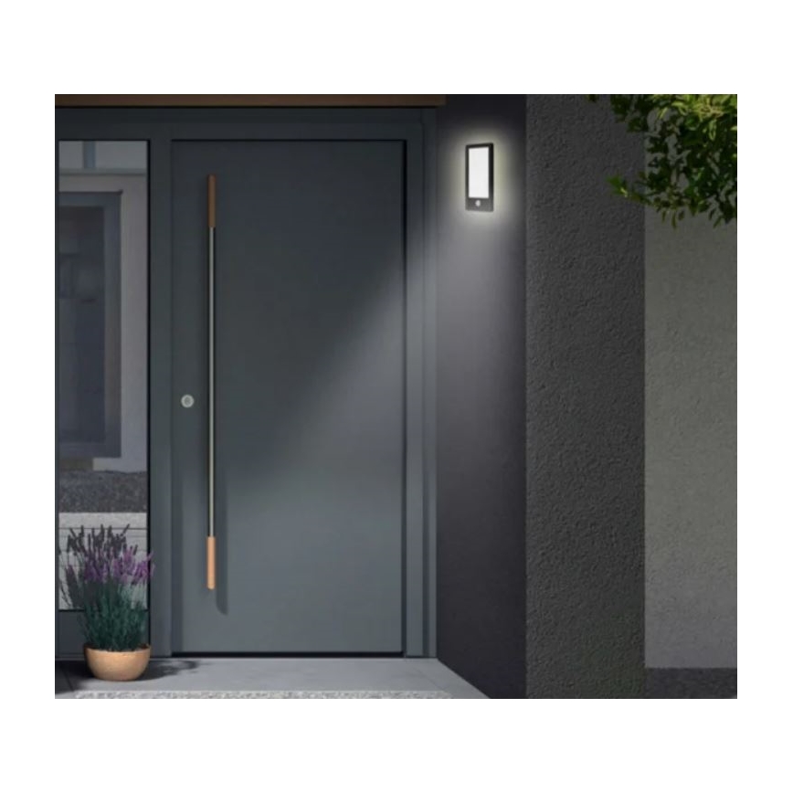 Telefunken 313905TF - LED vanjsko zidno svjetlo sa senzorom LED/16W/230V IP44