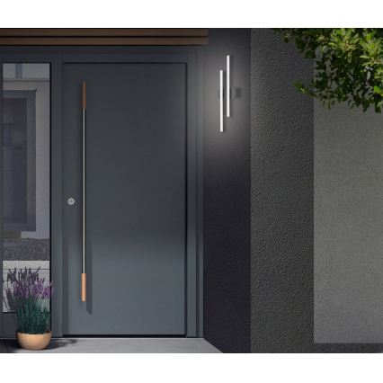 Telefunken - LED vanjska zidna svjetiljka 2xLED/4W/230V IP44 crna