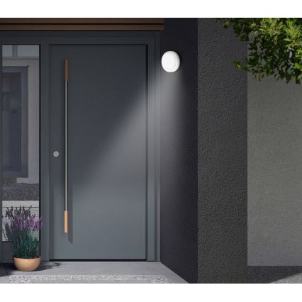 Telefunken - LED vanjsko zidno svjetlo sa senzorom sumraka i pokreta LED/12W/230V IP44 bijelo