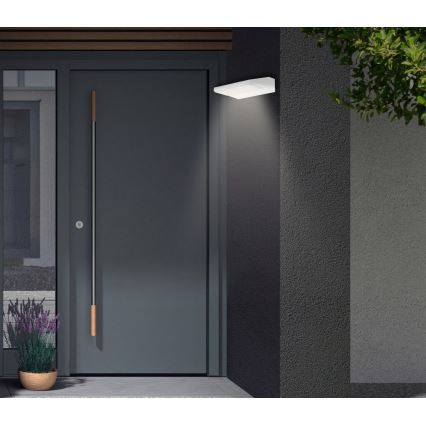 Telefunken - LED vanjsko zidno svjetilo LED/10W/230V IP44 bijelo