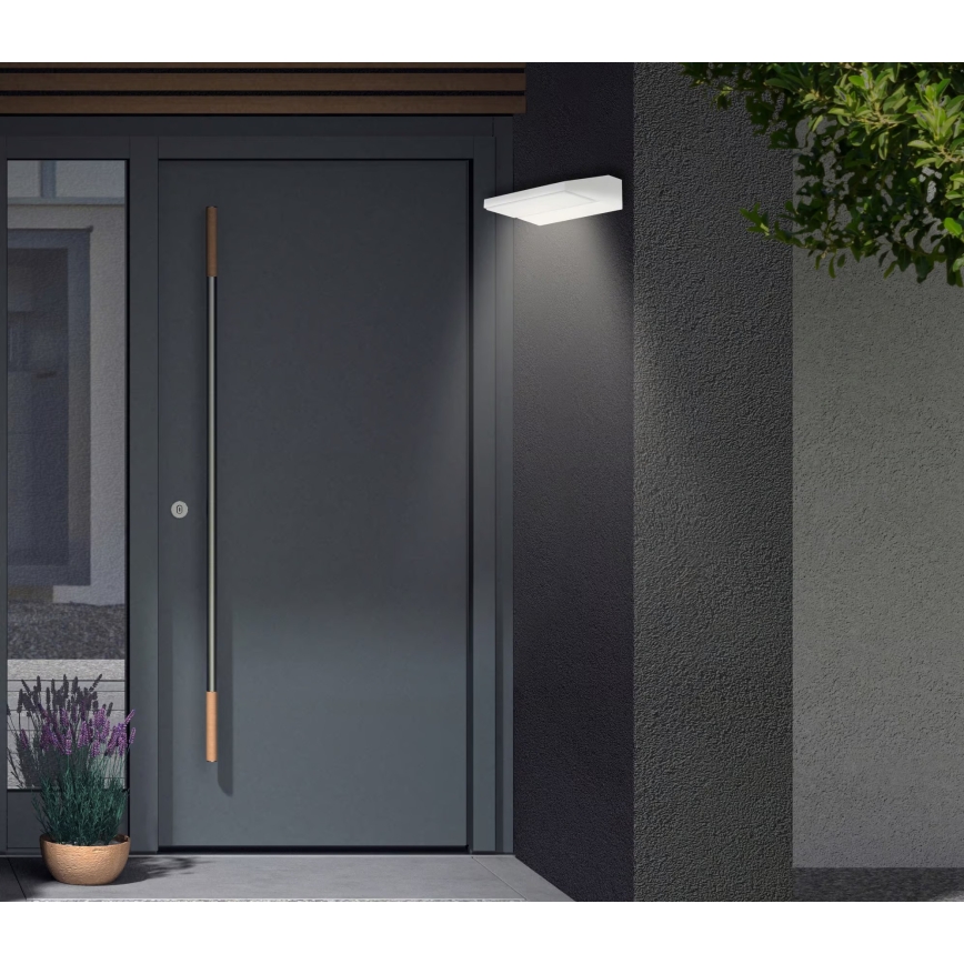 Telefunken - LED vanjsko zidno svjetilo LED/10W/230V IP44 bijelo