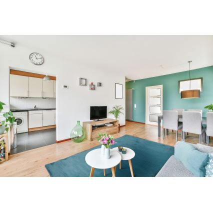 Tepih RABBIT-ROSA NEW 80x150 cm 2000g/m2 tirkizni