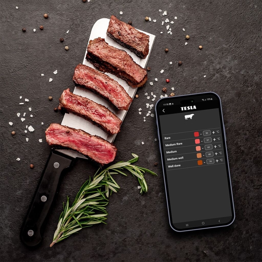 TESLA Electronics Cook - Digitalni termometar za meso sa sondom 0-400 °C 2xAA IP65