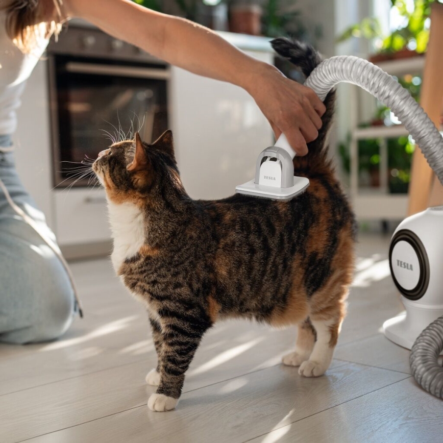 TESLA Electronics PetCare - Set za njegu krzna kućnih ljubimaca 300W/230V