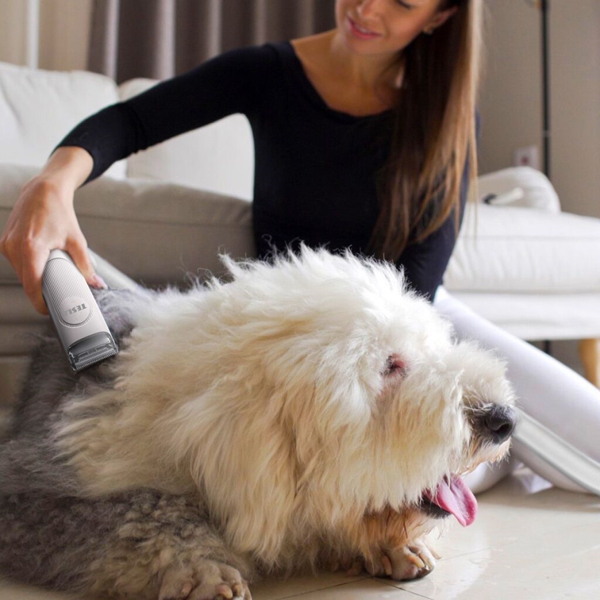 TESLA Electronics PetCare - Set za njegu krzna kućnih ljubimaca 300W/230V
