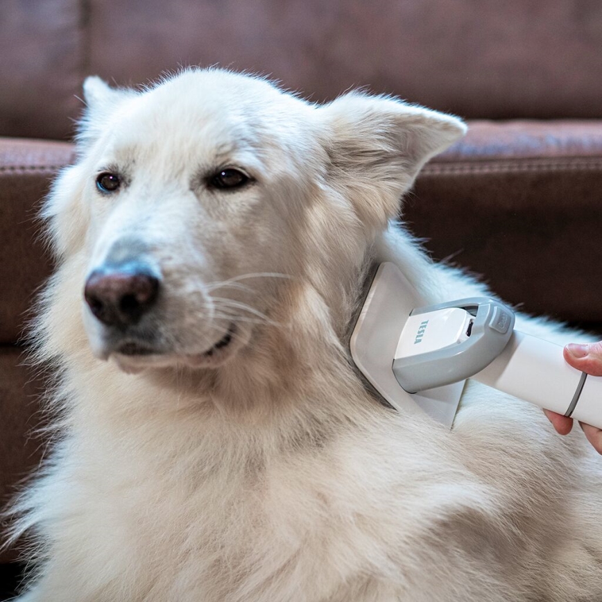 TESLA Electronics PetCare - Set za njegu krzna kućnih ljubimaca 300W/230V