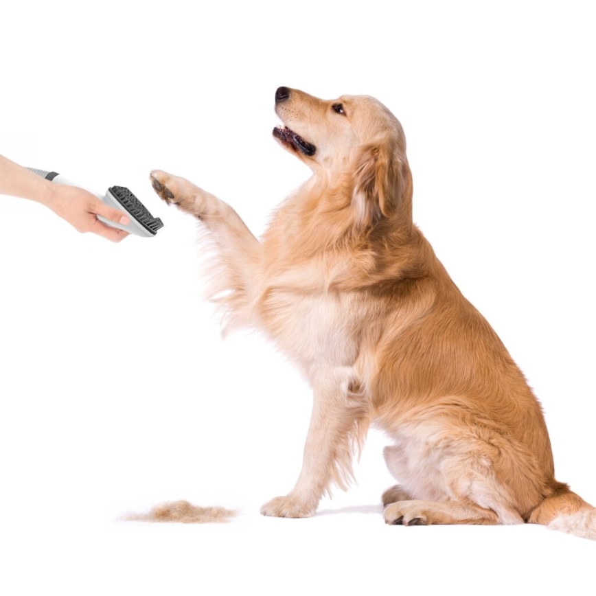 TESLA Electronics PetCare - Set za njegu krzna kućnih ljubimaca 300W/230V