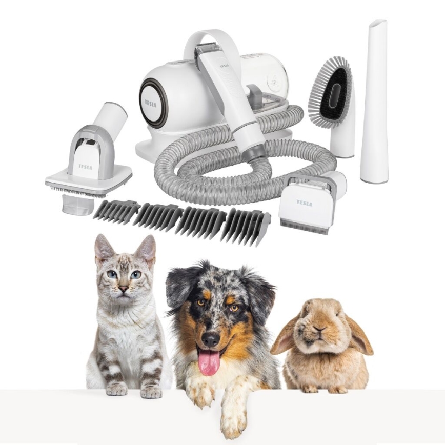TESLA Electronics PetCare - Set za njegu krzna kućnih ljubimaca 300W/230V