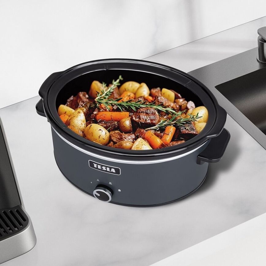 TESLA Electronics SlowCook - Lonac za sporo kuhanje 6,5 l 270W/230V