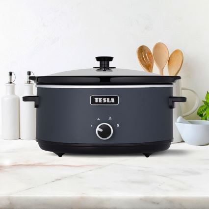 TESLA Electronics SlowCook - Lonac za sporo kuhanje 6,5 l 270W/230V
