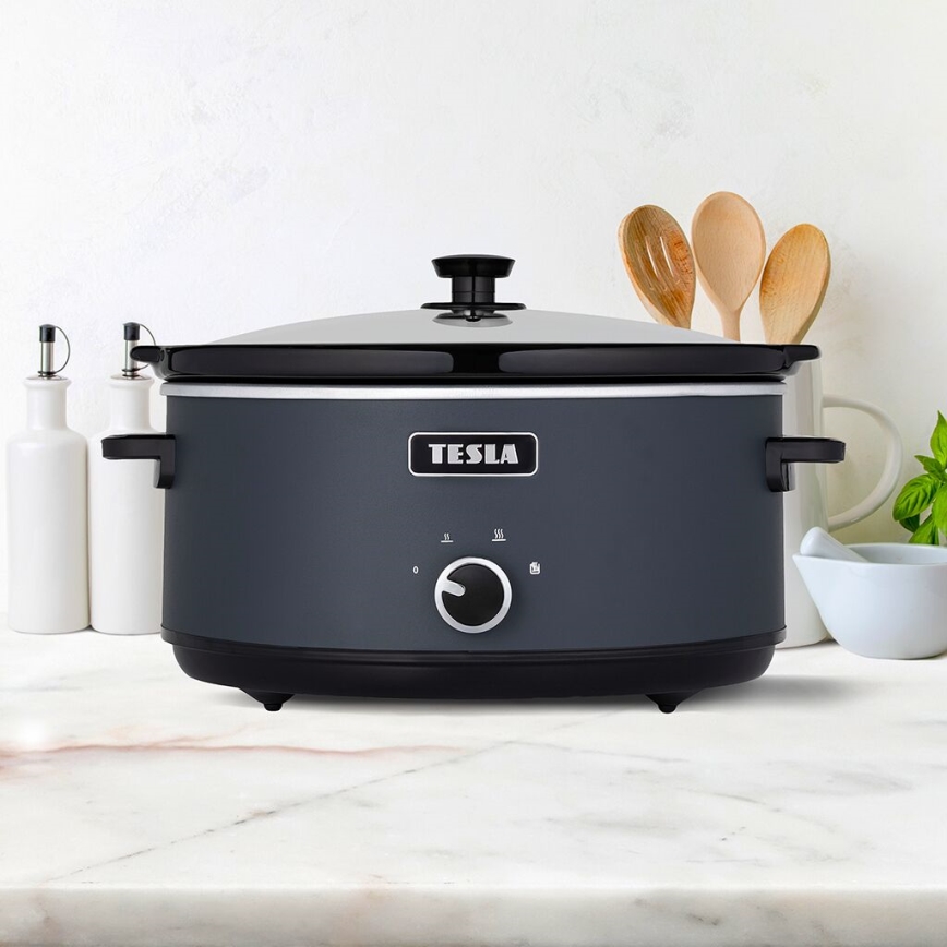 TESLA Electronics SlowCook - Lonac za sporo kuhanje 6,5 l 270W/230V