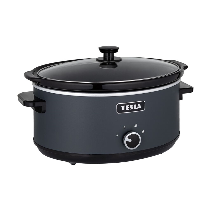 TESLA Electronics SlowCook - Lonac za sporo kuhanje 6,5 l 270W/230V