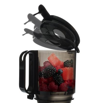 TESLA Electronics SlowJuicer Deluxe - Spori sokovnik 250W/230V nehrđajući/crna