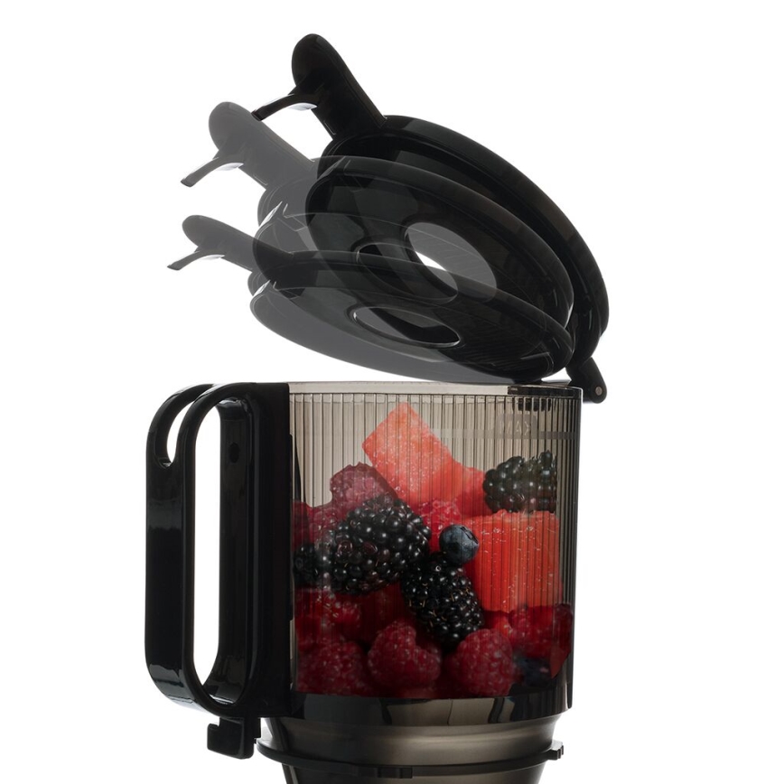 TESLA Electronics SlowJuicer Deluxe - Spori sokovnik 250W/230V nehrđajući/crna