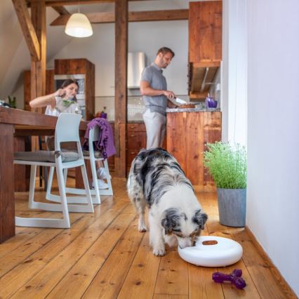 TESLA Smart - Pametna automatizirana hranilica s kamerom za kućne ljubimce 4 l 5V/3xLR20 Wi-Fi