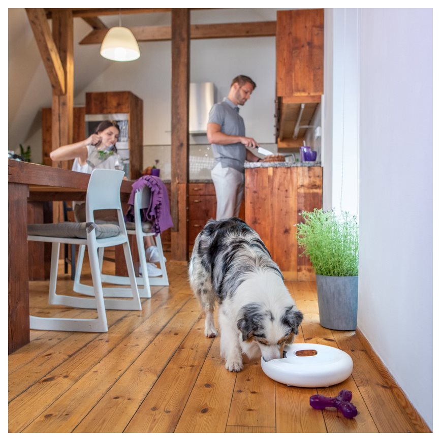 TESLA Smart - Pametna automatizirana hranilica s kamerom za kućne ljubimce 4 l 5V/3xLR20 Wi-Fi