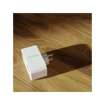 TESLA Smart - Pametna razdjelna utičnica 2x16A/230V Tip F Wi-Fi Tuya