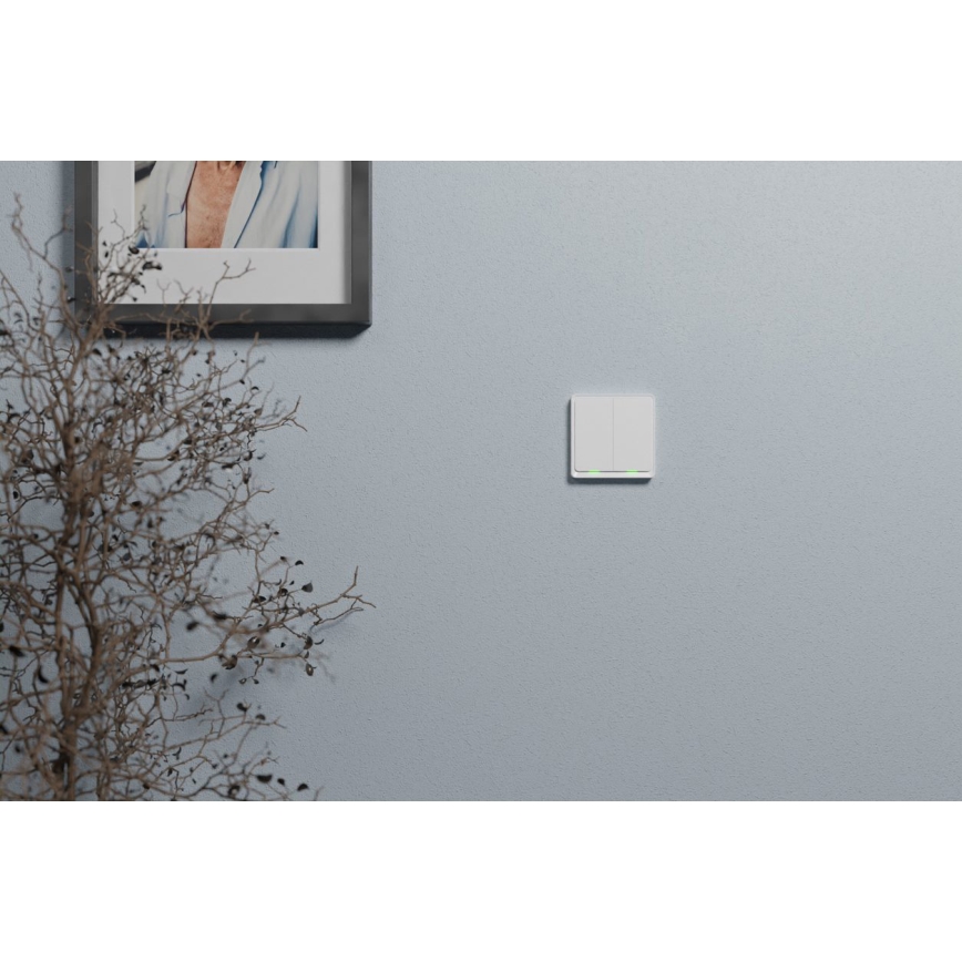 TESLA Smart - Pametni kućni prekidač 2P 230V Zigbee