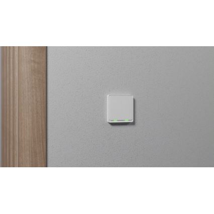 TESLA Smart - Pametni kućni prekidač 2P 230V Zigbee