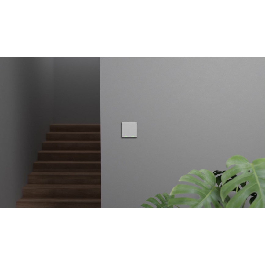 TESLA Smart - Pametni kućni prekidač 2P 230V Zigbee