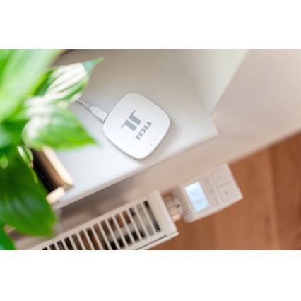 TESLA Smart - Pametni pristupnik Hub Smart Zigbee Wi-Fi