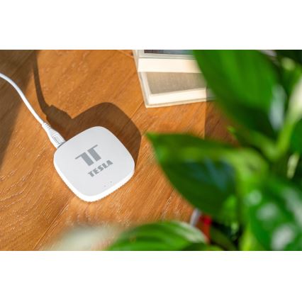 TESLA Smart - Pametni pristupnik Hub Smart Zigbee Wi-Fi