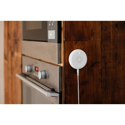 TESLA Smart - Pametni senzor curenja plina 230V Zigbee