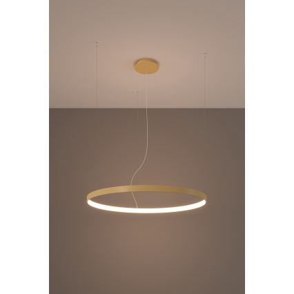 Thoro TH.174 - LED Luster na sajli RIO LED/50W/230V CRI 90 3000K pr. 78 cm zlatna