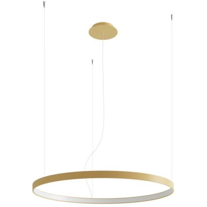 Thoro TH.174 - LED Luster na sajli RIO LED/50W/230V CRI 90 3000K pr. 78 cm zlatna