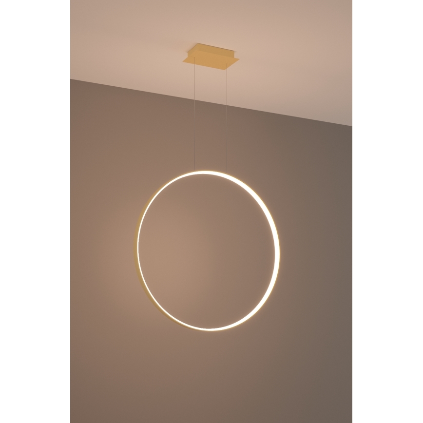 Thoro TH.175 - LED Luster na sajli RIO LED/50W/230V CRI 90 3000K pr. 78 cm zlatna