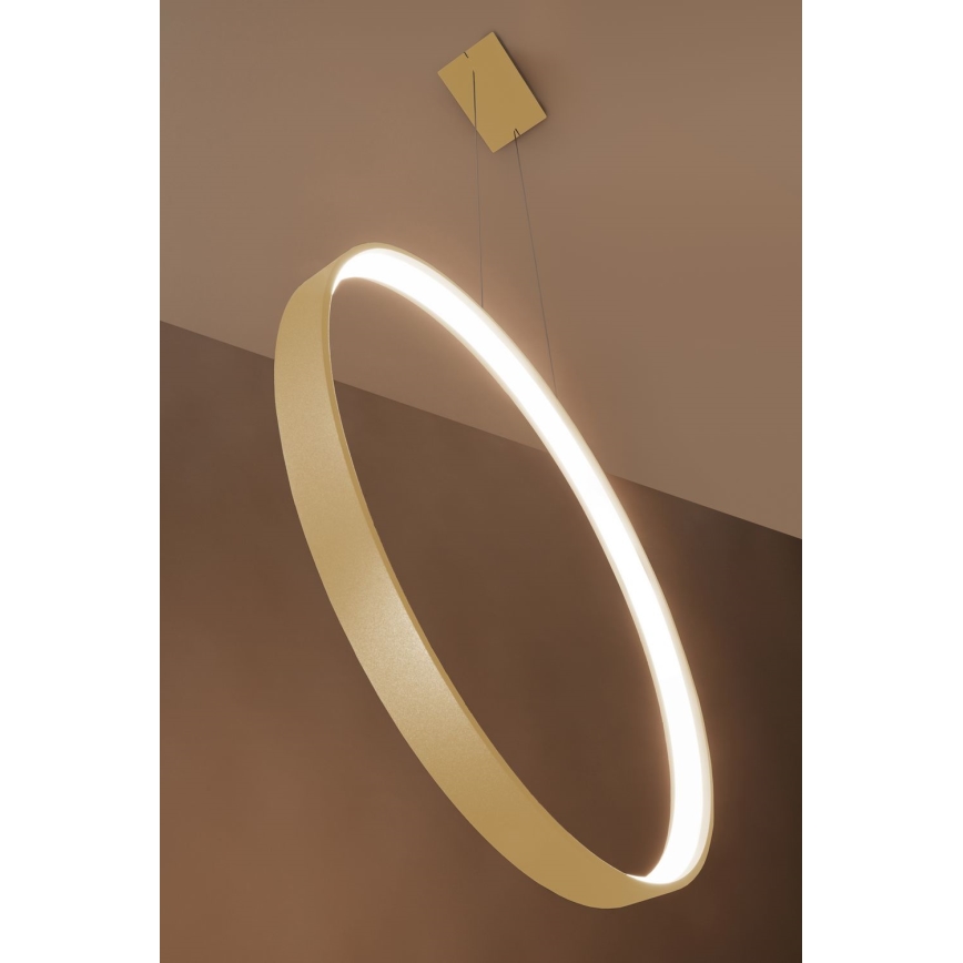 Thoro TH.175 - LED Luster na sajli RIO LED/50W/230V CRI 90 3000K pr. 78 cm zlatna