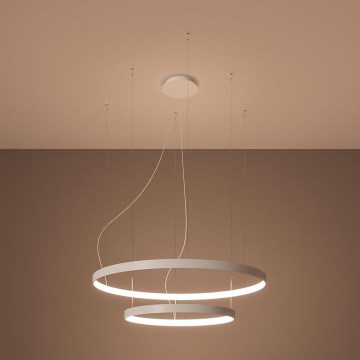 Thoro TH.176 - LED Luster na sajli RIO LED/80W/230V CRI 90 3000K bijela