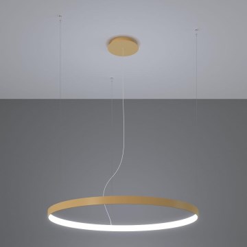 Thoro TH.181 - LED  Luster na sajli RIO LED /50W/230V CRI 95 4000K pr. 78 cm zlatna